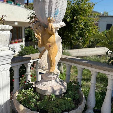 Anel'S Guesthouse Berat Ngoại thất bức ảnh